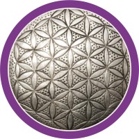 Akasha Pan-American Foundation logo - Similar company to Akasha Innovation Hub