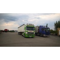 Transport Ciężarowy Handel Obwożny i Stacjonarny logo - Similar company to Spedytor.Org