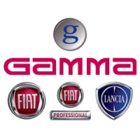 Gamma srl logo - Similar company to Netservice Edm
