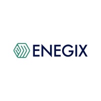 Enegix, Inc. logo - Similar company to Wppacks