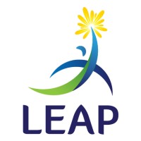Leap Research logo - Similar company to Maxi Research
