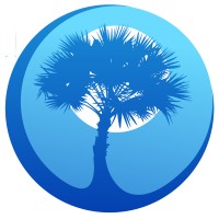 Palmetto Sports & Entertainment logo - Similar company to Taxtics - Tailored Tax Solutions