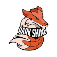 DarkShine Media logo - Similar company to Pulsarorigin