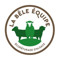 La Bêle Equipe logo - Similar company to Tondobêle