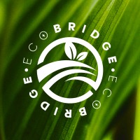 EcoBridge Chile logo - Similar company to Ecpc Technologies
