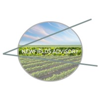 Newfields Advisory LP logo - Similar company to Thetechsmartz