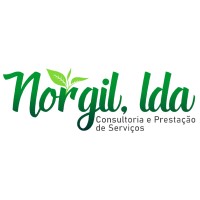 Norgil logo - Similar company to Tcharlizy Enterprise Lda