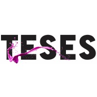 Teses Soluções Em Gestão Contábil E Rh