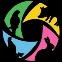 NEPNA logo - Similar company to Avets