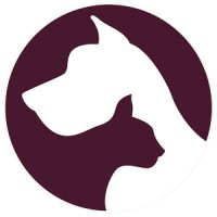 Best Friend Services logo - Similar company to Lucentt