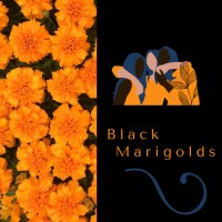 Black Marigolds, INC. logo - Similar company to Evolution Affairs