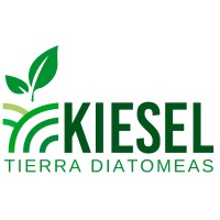 Kiesel logo - Similar company to Santander Workcafe
