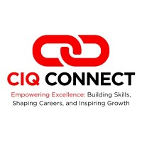 CIQ CONNECT logo - Similar company to Digital Wings