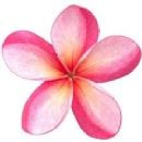 Kauai Island Weddings