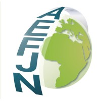 Africa Europe Faith and Justice Network logo - Similar company to Résilience Des Populations Vulnérables Et Opprimées