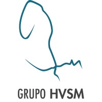 Grupo HVSM logo - Similar company to Double S Company