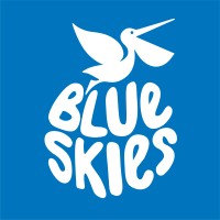 Blue Skies Holdings Ltd