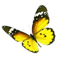 Imoberdorf AG logo - Similar company to Tl Technology Ag