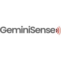 GeminiSense logo - Similar company to Bold Group