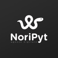 NoriPyt logo - Similar company to Norishare