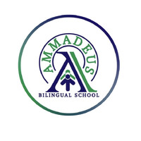 Instituto Educativo Ammadeus logo - Similar company to Orcius