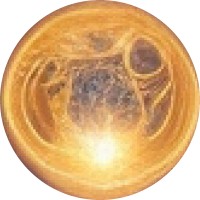 Quantum-Karmic Multiverse logo - Similar company to Life Exponential
