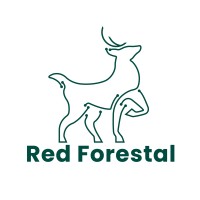 RED FORESTAL - FRED logo - Similar company to Bosque Y Comunidad