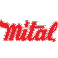 Mittal Steel Works - India logo - Similar company to Berlia Soap And Detergent Industries
