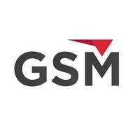 GSM Logística logo - Similar company to Is Entrega