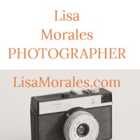 Lisa Morales Photography and Travel Writing logo - Similar company to Creative Gold Studio