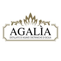 Agalìa logo - Similar company to Free In Net