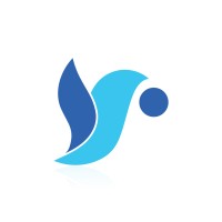 Saratel Solutions logo - Similar company to A N & Associates Chartered Accountants
