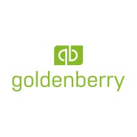Goldenberry Group logo - Similar company to Hellogadzet