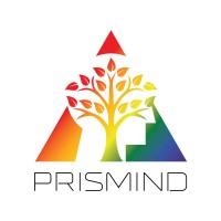 PrisMind logo - Similar company to Advance Hydrau-Components Private Limited