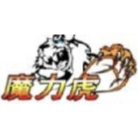 Magic Hoop Kids logo - Similar company to Qineticare - World'S First Family Health Office (Fho)