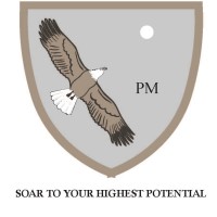Platinum Minds