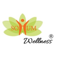 Sohum Wellness LLC logo - Similar company to Sohum Spa And Wellness