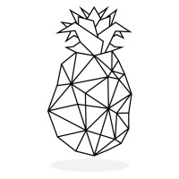 Piña Studio logo - Similar company to Moobi Store