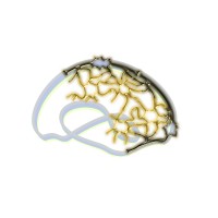 Instituto para las Neurociencias y la Salud IN&S SAS logo - Similar company to Enfeter S.A