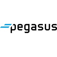 Pegasus Casters USA logo - Similar company to Techin Castor