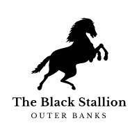 The Black Stallion