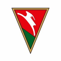 Lublinianka KUL Basketball logo - Similar company to Uczelniany Samorząd Studentów Kul