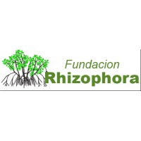 Fundacion Rhizophora DHL logo - Similar company to Sustineo