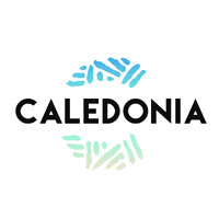 CALEDONIA logo - Similar company to Dock 45