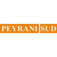 Peyrani Sud S.p.a. logo - Similar company to Ionian Shipping Consortium