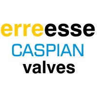 Erreesse Caspian Valves LLP logo - Similar company to Language Link Atyrau