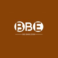 Big Bang Exim logo - Similar company to Ams Pacific Private Limited