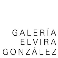 Galería Elvira González logo - Similar company to Side Gallery