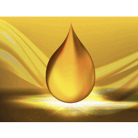 Les Acheteurs d'huiles logo - Similar company to Lesmo3