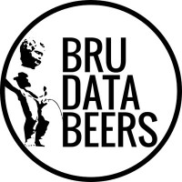 DataBeers Brussels logo - Similar company to Data Saturday Denmark